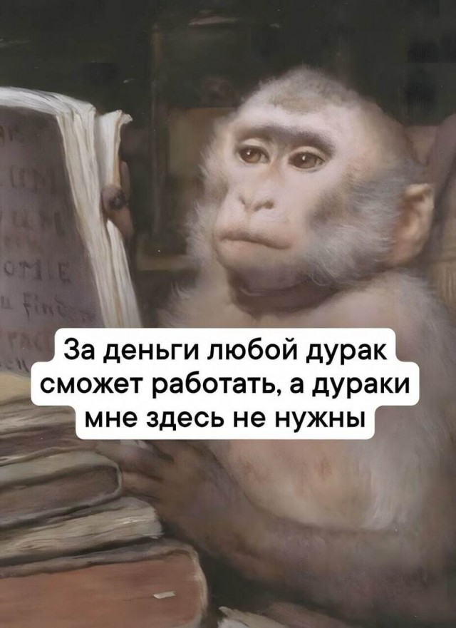 Картиночки, баянчики 15 февраля