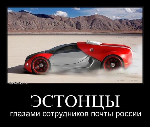 Про уличных собак и кошек