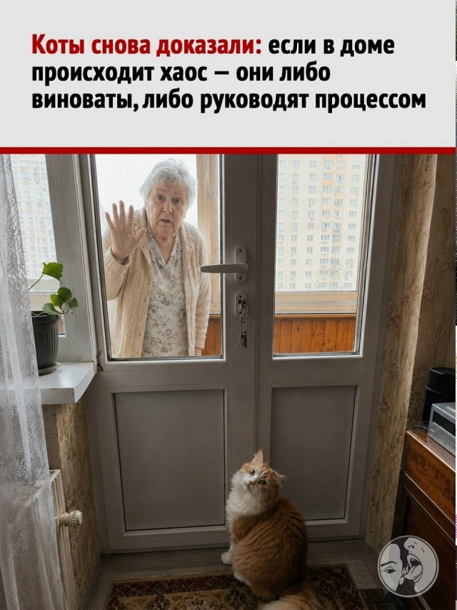 Так себе картинки 14.05.26
