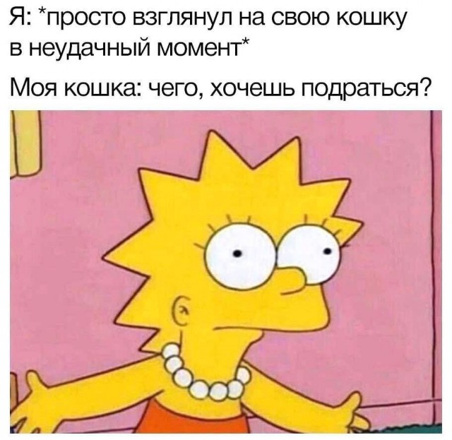 Картинки для деградации 219 (разной степени свежести)