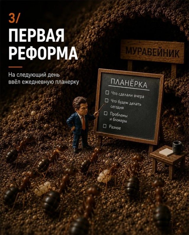 Эффективный руководитель муравейника