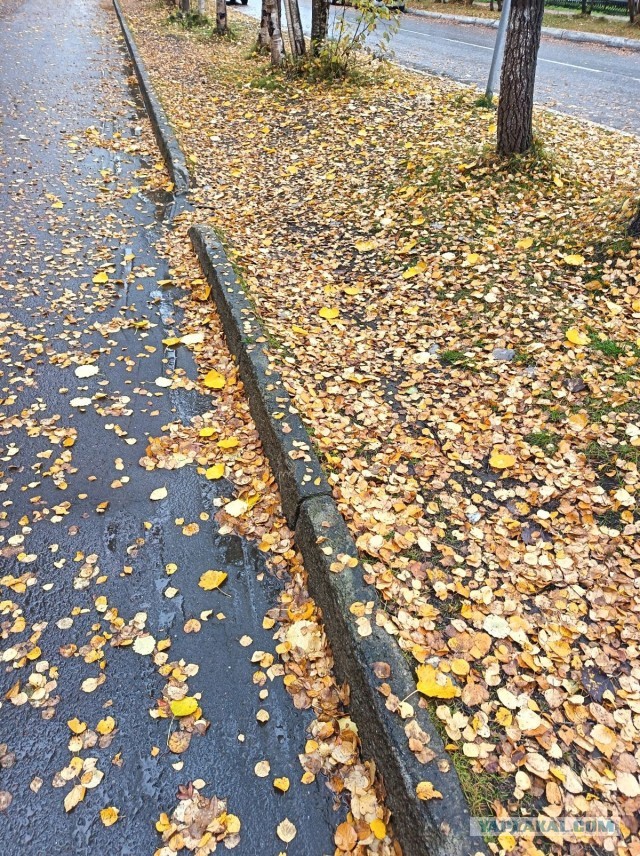 Осеннее