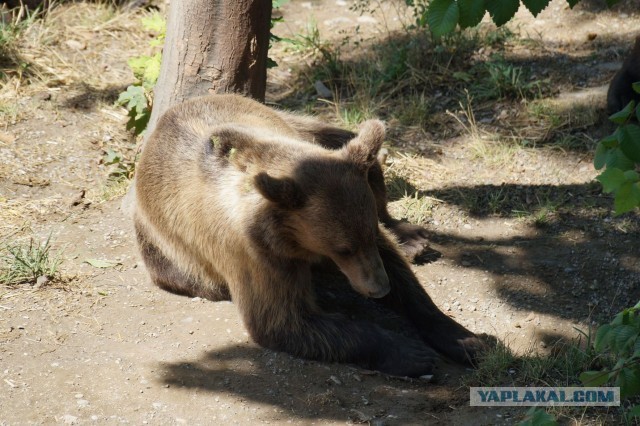 Поездка в Швейцарию