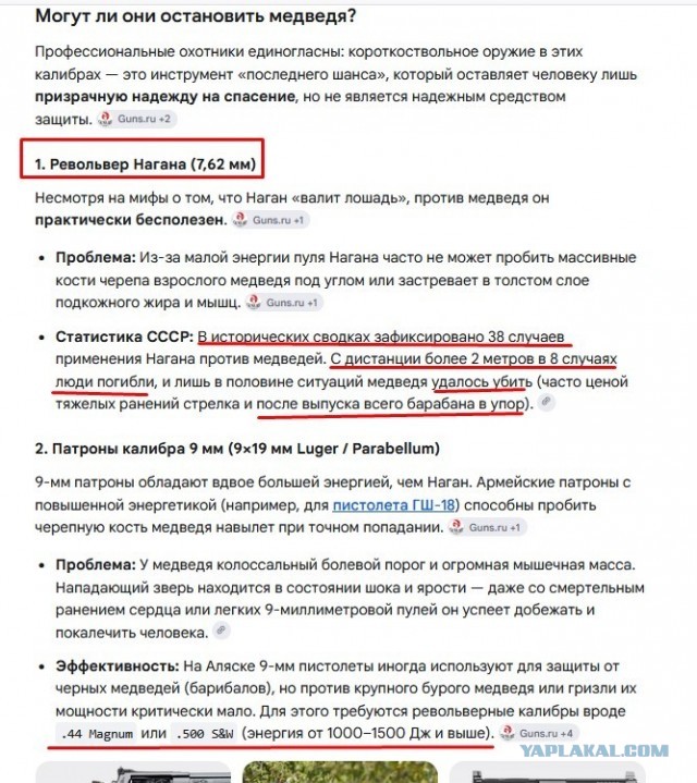 Медведь растерзал мужчину в Богучанском районе Красноярского края