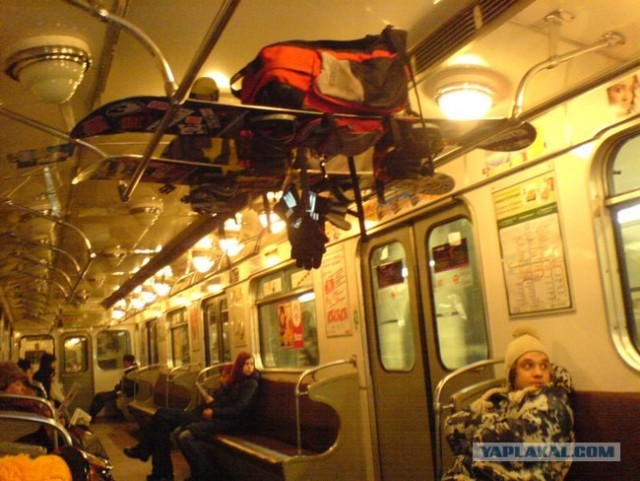 Что мы видим вокруг себя