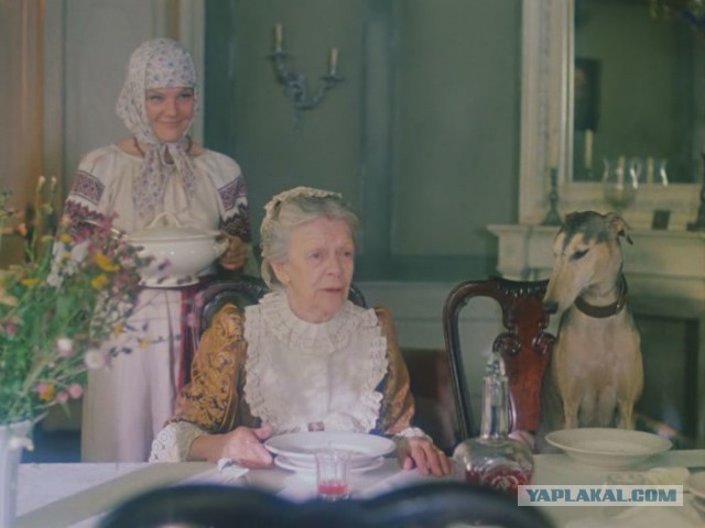 Любимая киноеда