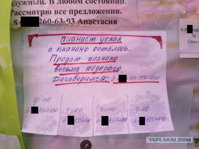 Фотографии с мобильного телефона