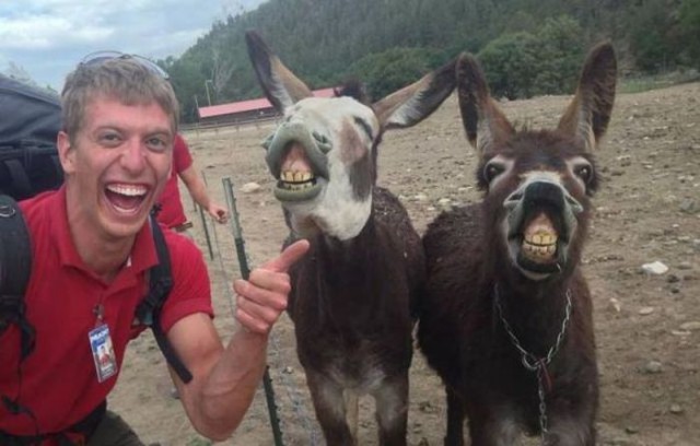 Веселые картинки