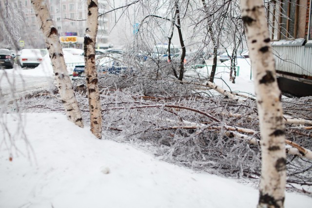 Лед на улицах Москвы