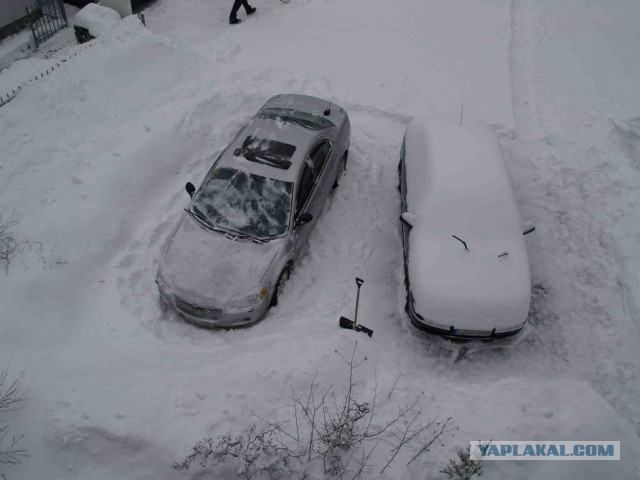 Как я нашел лучший автомобиль