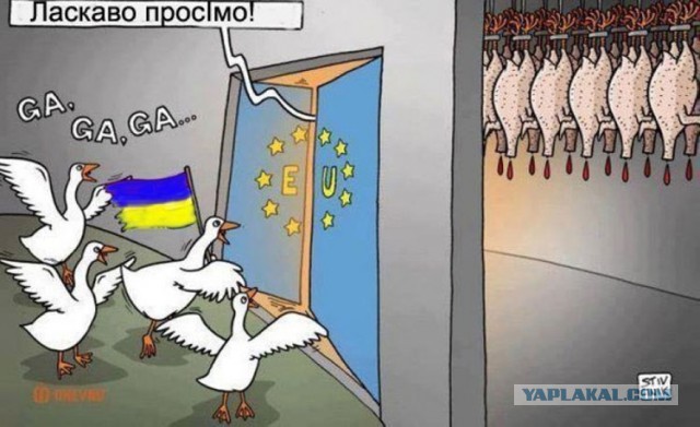 Техника с парада  в Куеве прибыла в зону АТО
