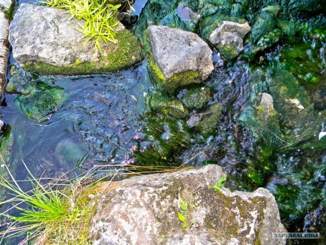 Будни фотографа