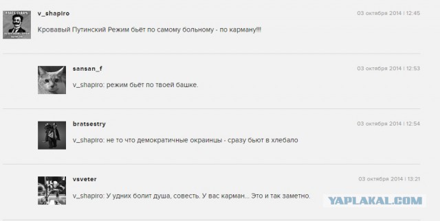 Во Владивостоке отменён концерт Дианы Арбениной