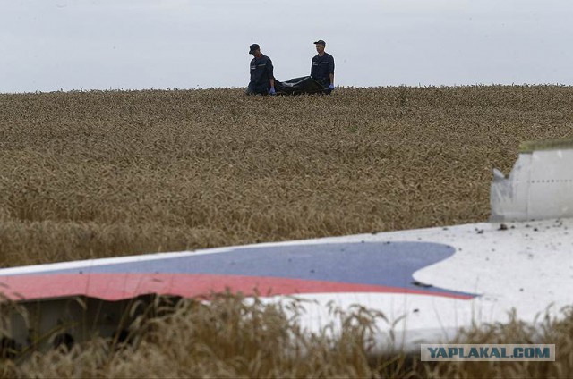 Полгода войны в Украине