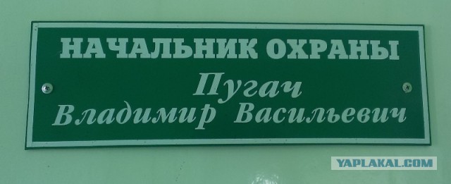 Подборка забавных совпадений.