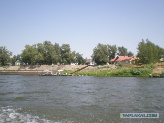р.Ахтуба июль