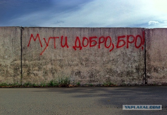 Донцова - писатель года? Ща проверим!
