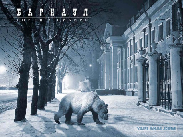 Тамбовский волк тебе товарищ...