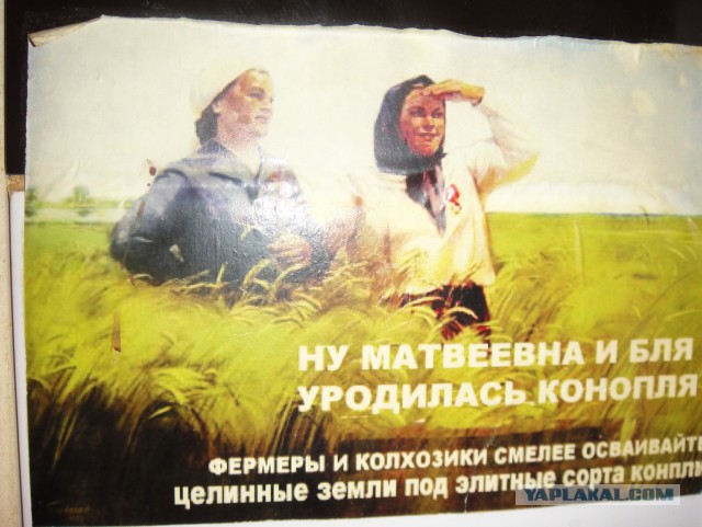 "Сортирный Юмор"