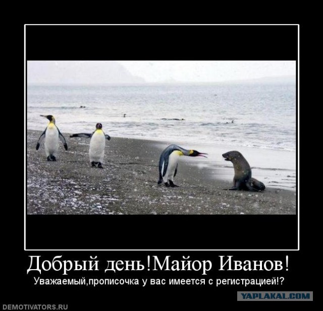 Демотиваторы