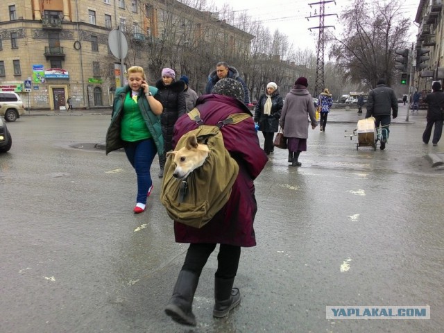Подборка картинок