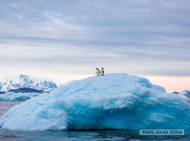 Подборка смешных, не очень и просто красивых фотографий. Часть 2