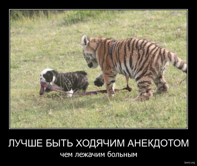 Картинки из сети