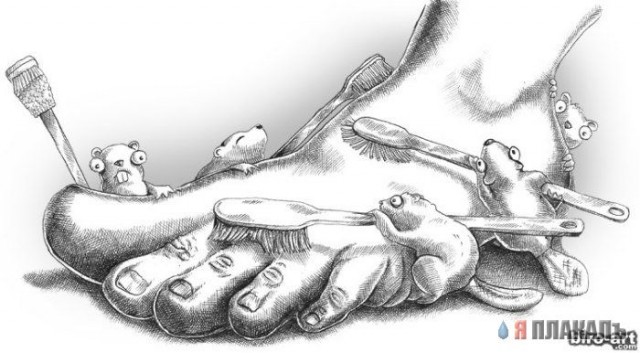 Рисунки. Карандаш