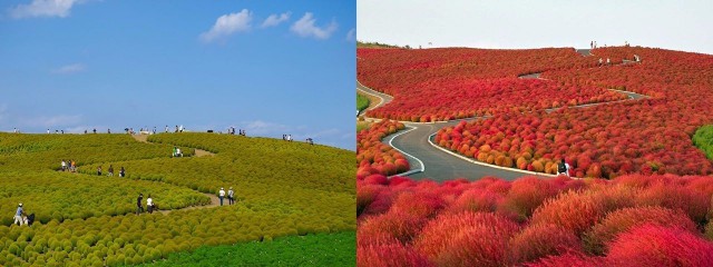 Картинки для отдыха глаз