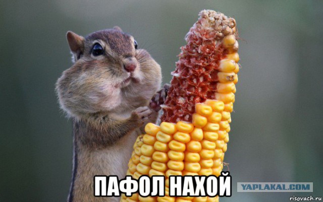 Сочно-синий скоростной "сарай"