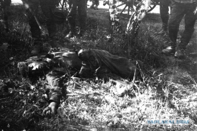 Как Польша напала на Германию в 39-м