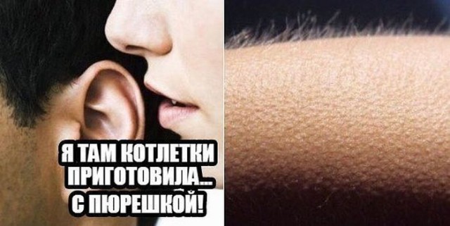 Порция пикчей из палаты №6
