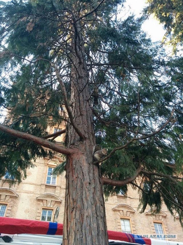 Жизнь в Италии