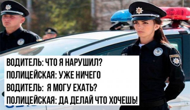 Немного картинок