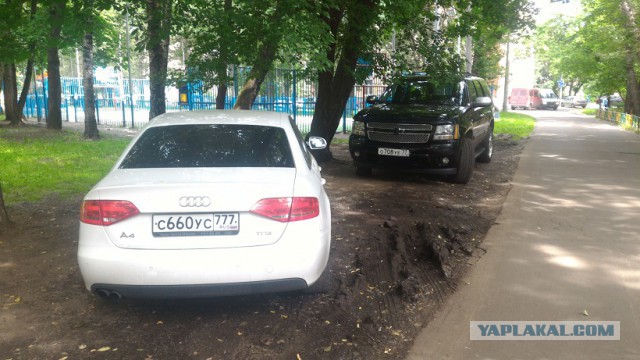 В нашем доме проживает «замечательный» сосед