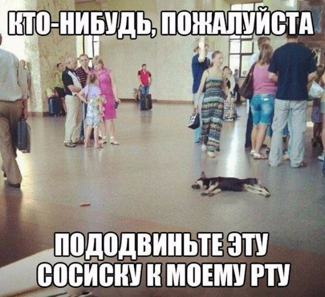 Лень-матушка или смекала и находчивость