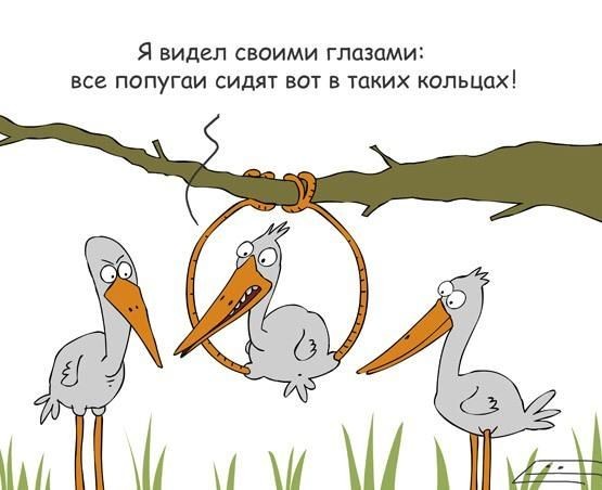 Видел своими глазами!