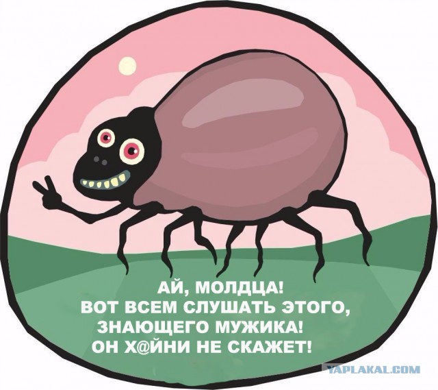 О клещах и беспечности