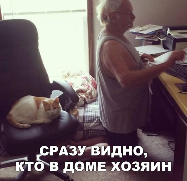 Нестандартный юмор
