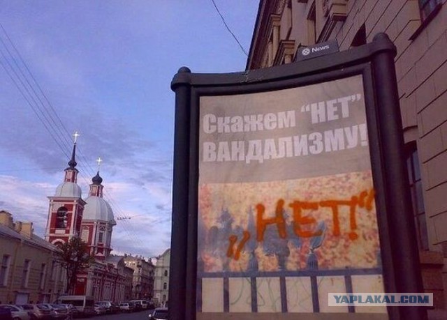 Подборка интересных и веселых картинок 30.10.18