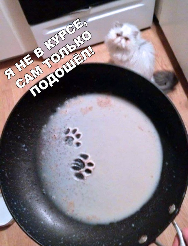 Немного милоты