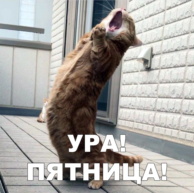 Немного милоты