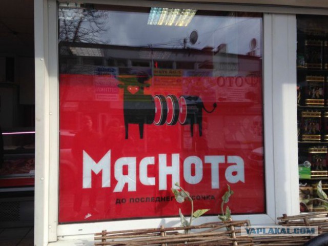 Подборка интересных и веселых картинок 23.03.19