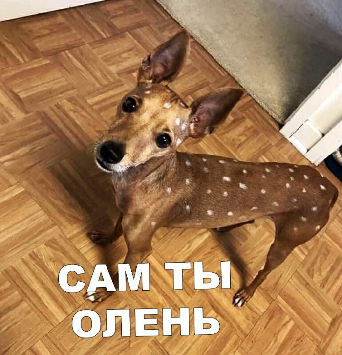 «Картинки разные нужны, картинки разные важны»