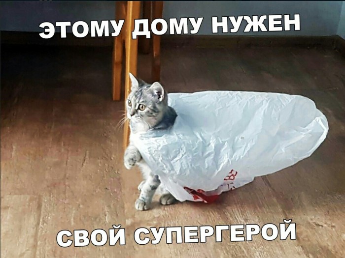 «Картинки разные нужны, картинки разные важны»