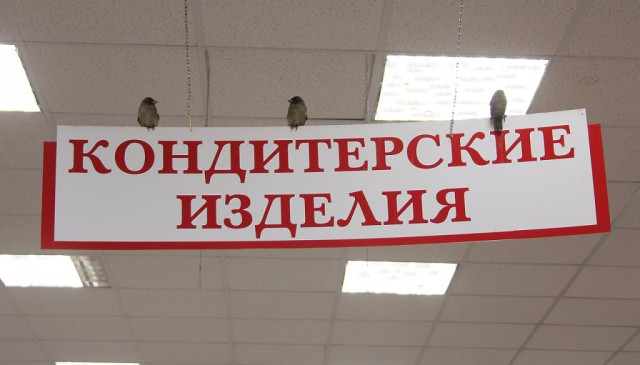 Живность из сети