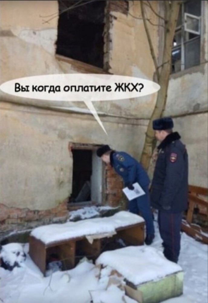 Бредзона из картинок