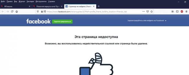 Помогите вернуть кота! Приют "Преданное сердце" украл кота и не отдает!-2
