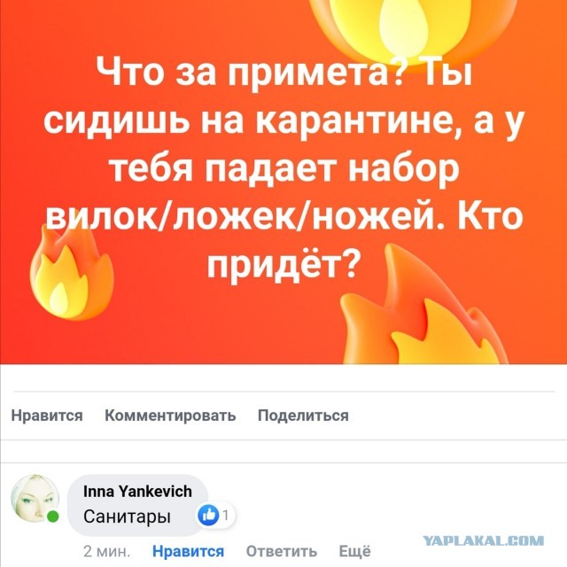 Свинегрет: картинки, надписи и прочее на 21.03 или №18
