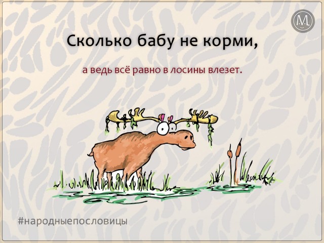 Кучка картинок №7